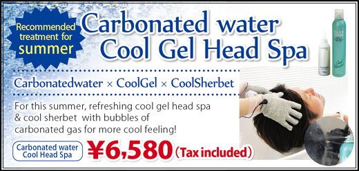 2014.08 Carbonated water Cool Gel Head Spa