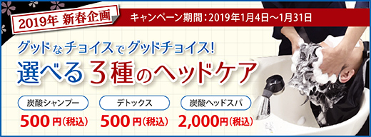 2019.01 選べる3種のヘッドケア