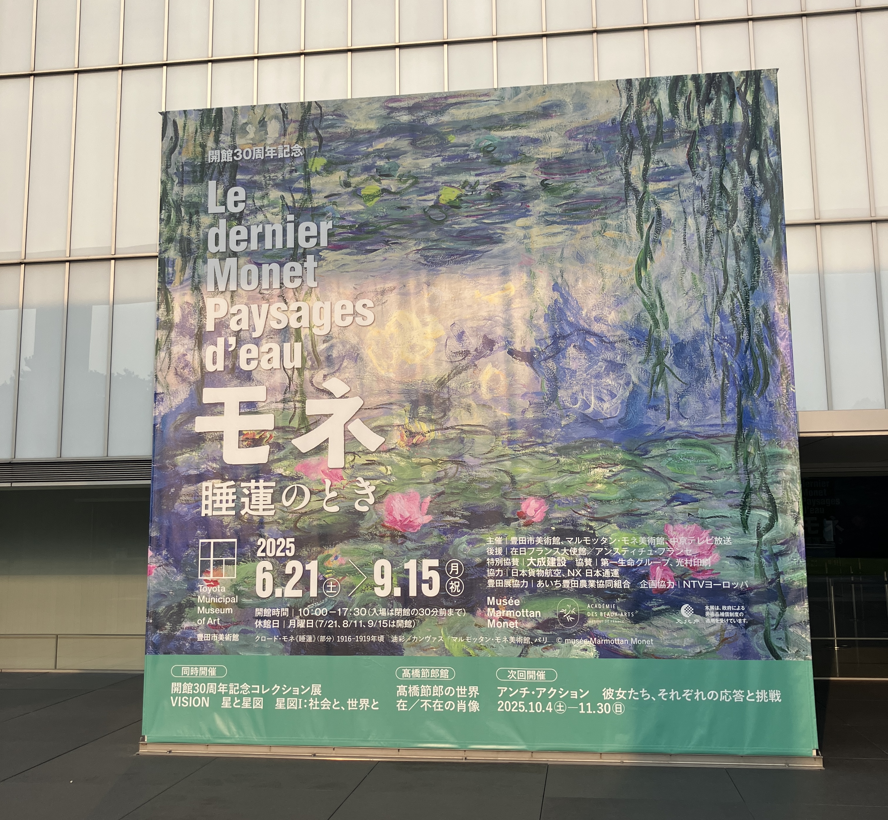 睡蓮