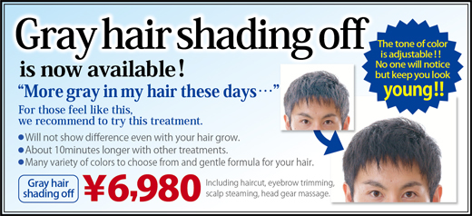 Gray hair shading!