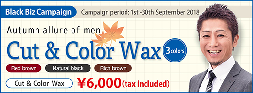 2018.09 Autumn color wax of 3 colors