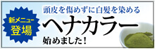 ヘナカラー始めました!