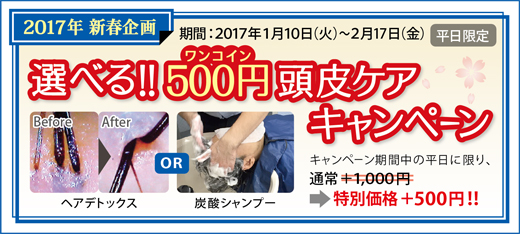 2017.01 選べる！500円（ワンコイン）頭皮ケア キャンペーン