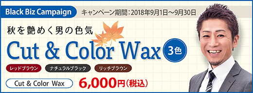 2018.09 秋を艶めくカラーワックス3色