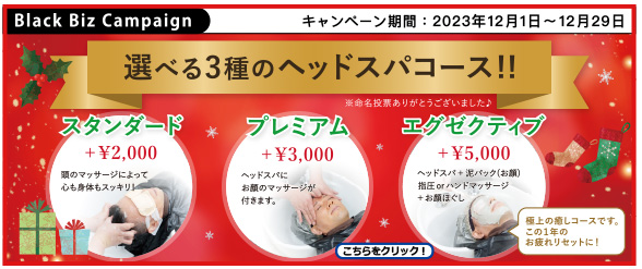 ブラックビズ2023.12 1年頑張った自分へのご褒美に癒やしのひと時を！【 選べる３種のヘッドスパコース 】